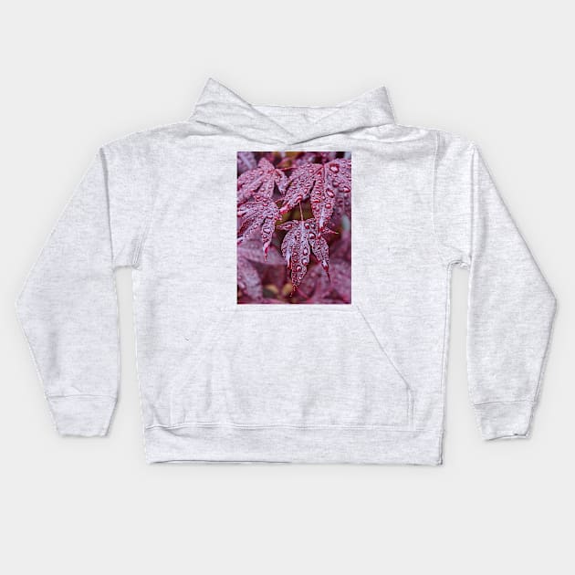 Japanese Acer Palmatum Atropurpurea Shrub Kids Hoodie by avrilharris